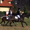 Zawody w Raciechowicach SJK Hucuł 2006